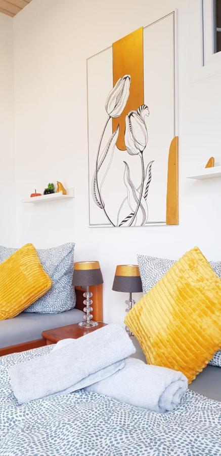 Elena Flat Tulpe Duisburg Zentrum 외부 사진
